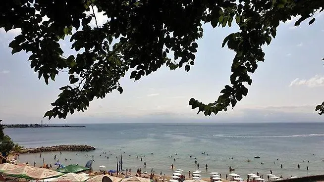 Oasis Park - New Managment Хотел