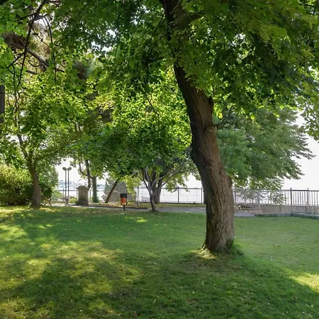 Oasis Park - New Managment