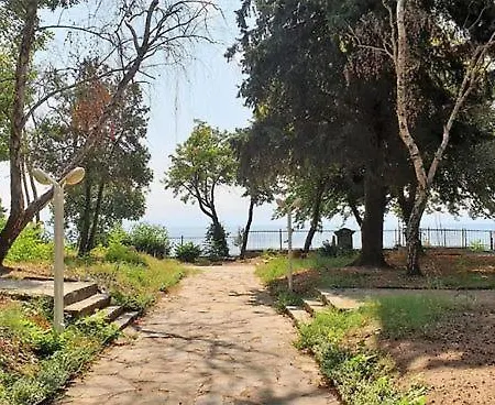 Oasis Park - New Managment 3* Misivri